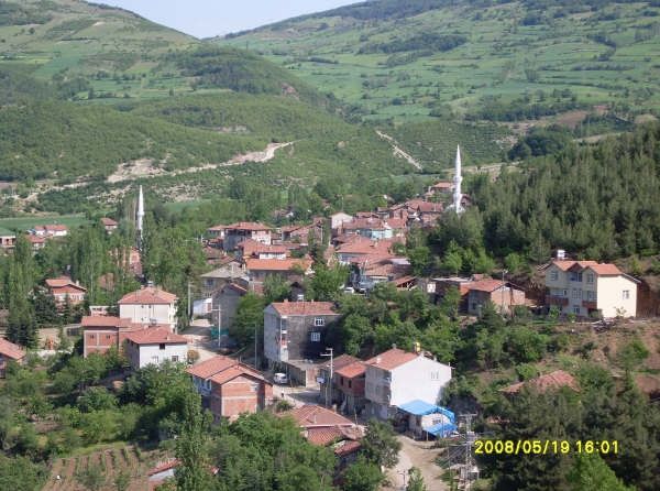 Beldemiz Hakkında